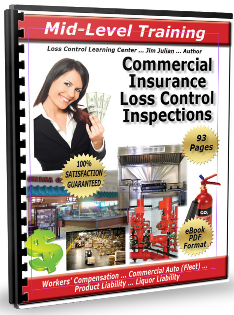 Mid-Level Commercial Insurance Loss Control Training Manual - PDF Download